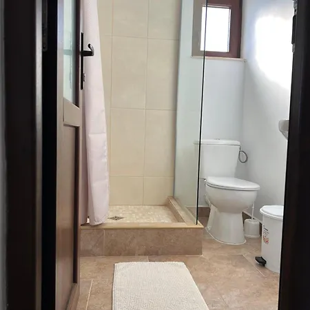 Vendégház Pensiunea Salcioara *