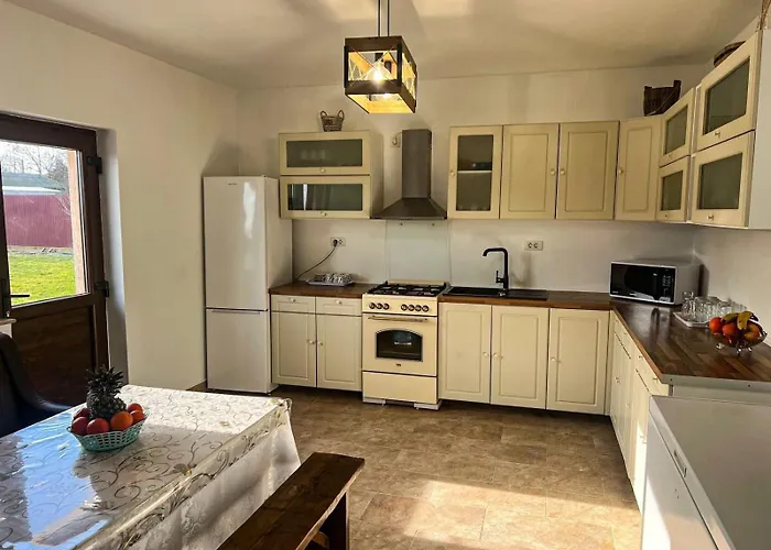 Pensiunea Salcioara Guest house Salcioara (Dobruja)