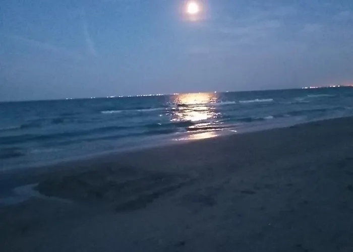 Pensiunea Salcioara Guest house *